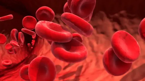 New smartphone app screens for a concerning blood condition