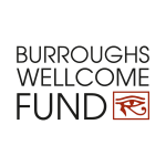 bur2
