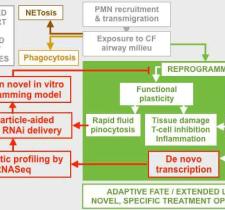 rnai
