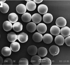 microgels